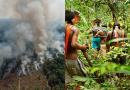 9 Reasons the Amazon Rainforest Is Dying Faster Than Ever
