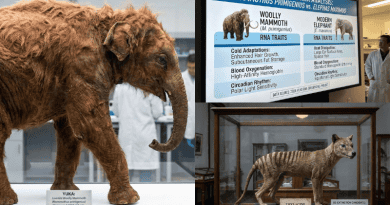10 Reasons the Woolly Mammoth RNA Discovery Changes Everything